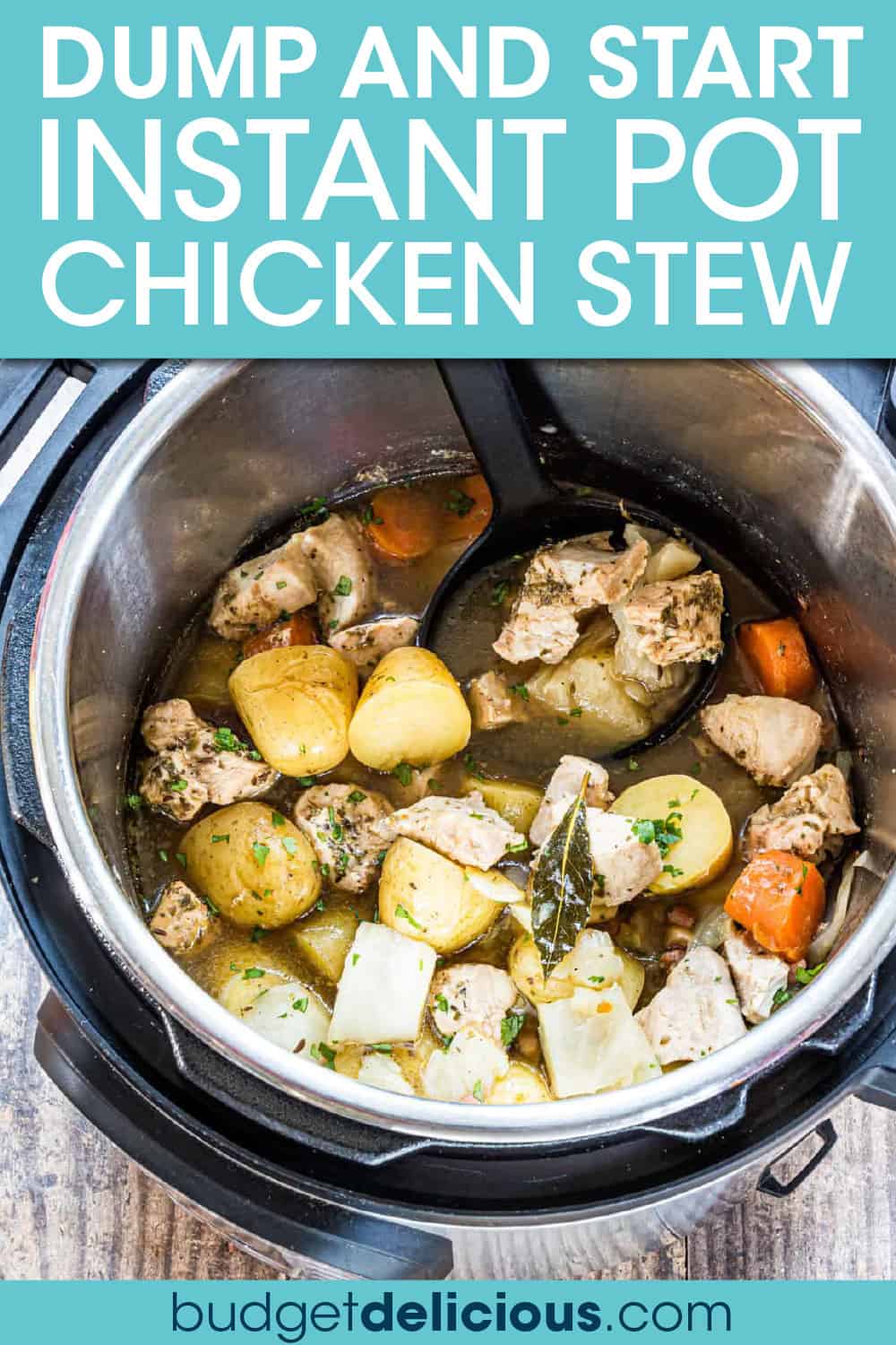 Dump and Start Instant Pot Irish Chicken Stew - Budget Delicious
