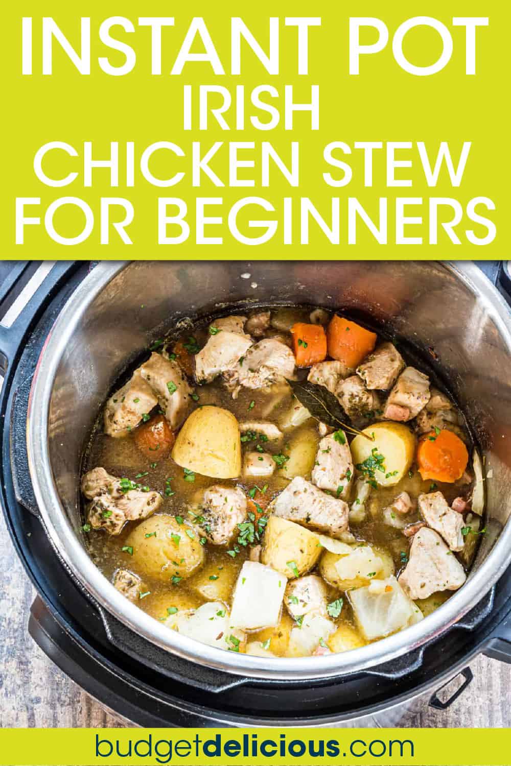 Dump and Start Instant Pot Irish Chicken Stew - Budget Delicious