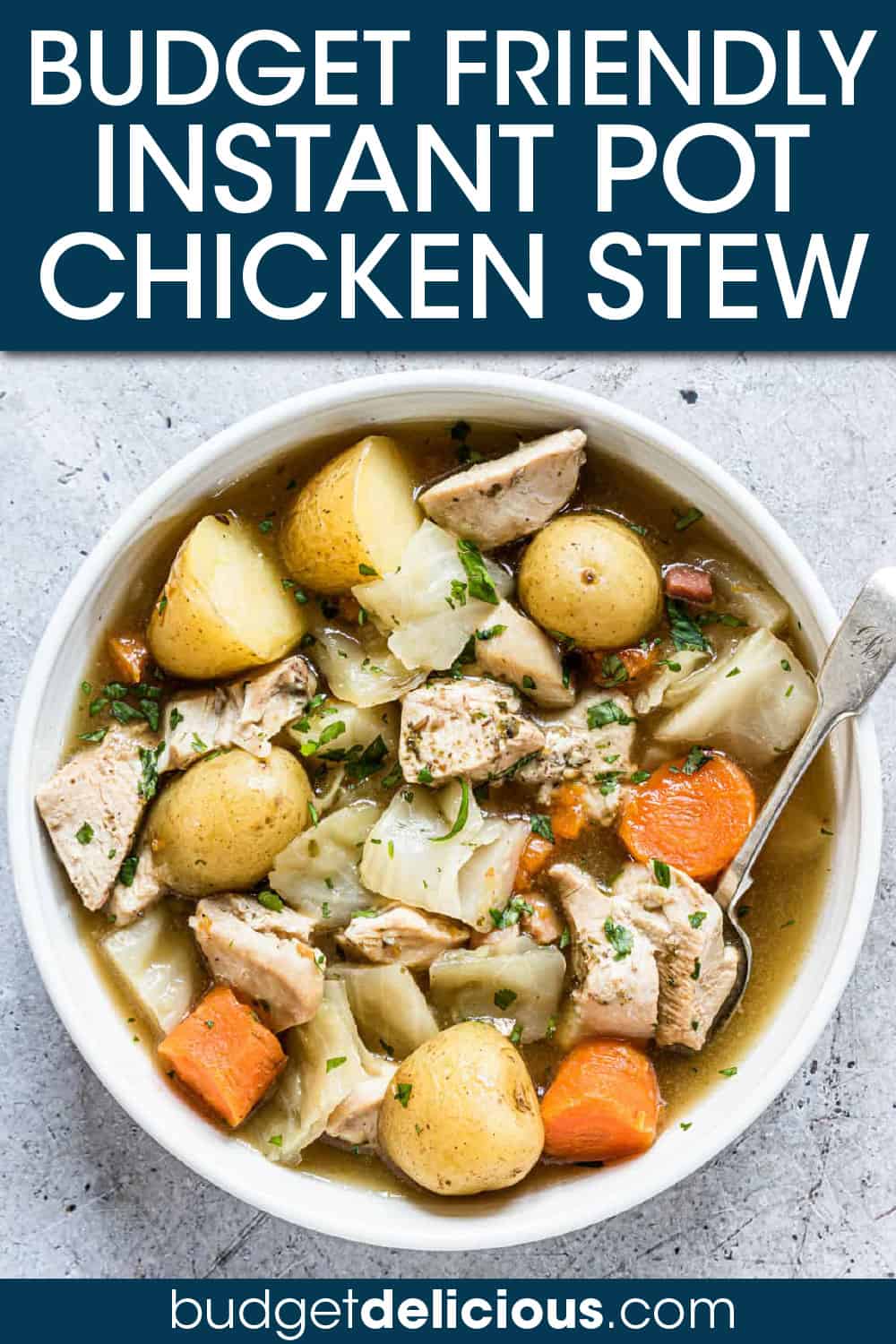 Dump and Start Instant Pot Irish Chicken Stew - Budget Delicious