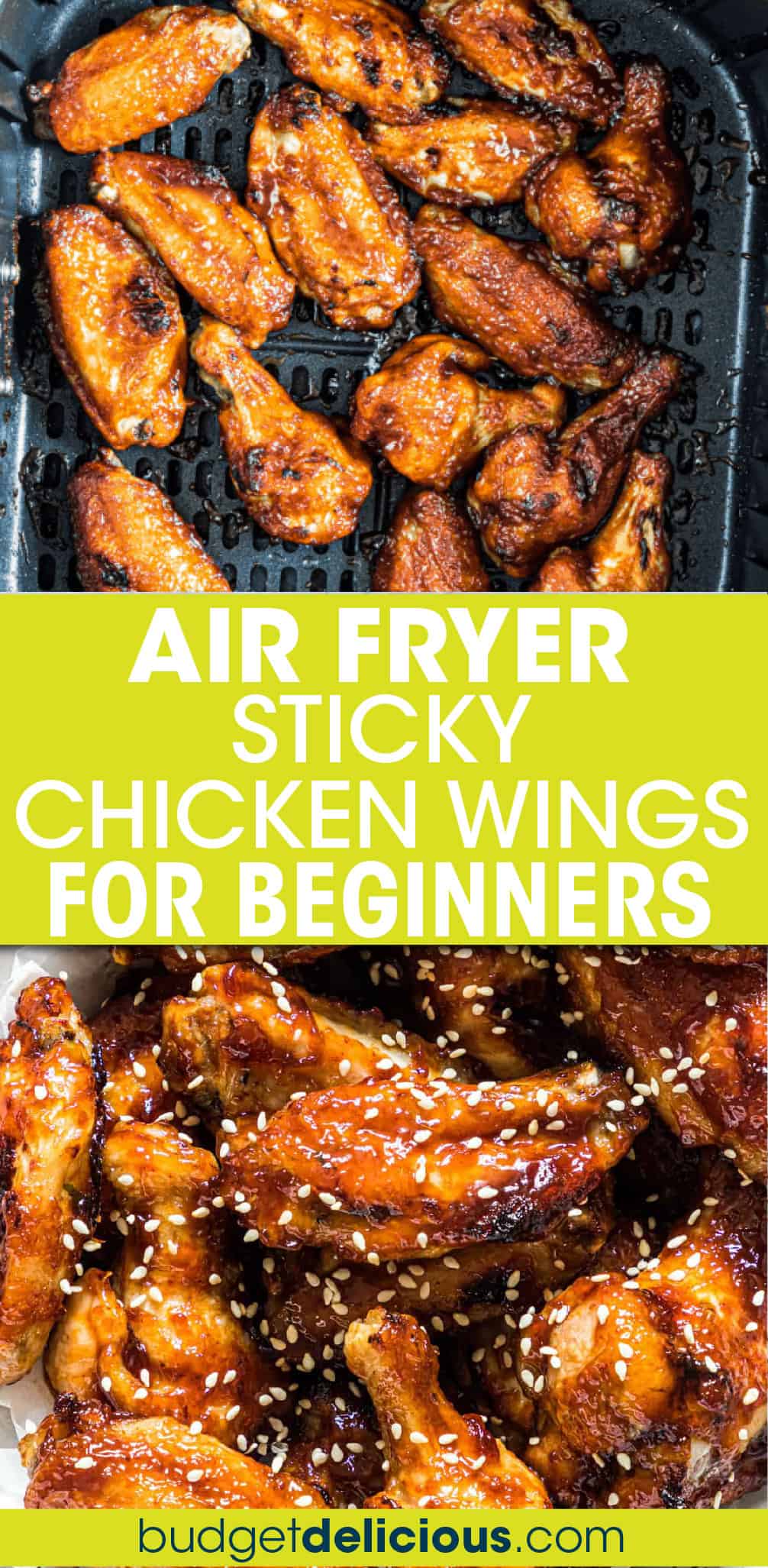 Air Fryer Chicken Wings - Budget Delicious