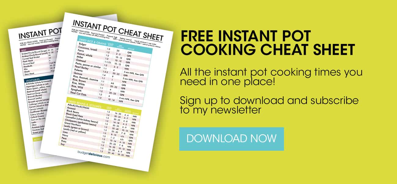 Vegetarian Instant Pot Cheat Sheet - We Live on a Bus