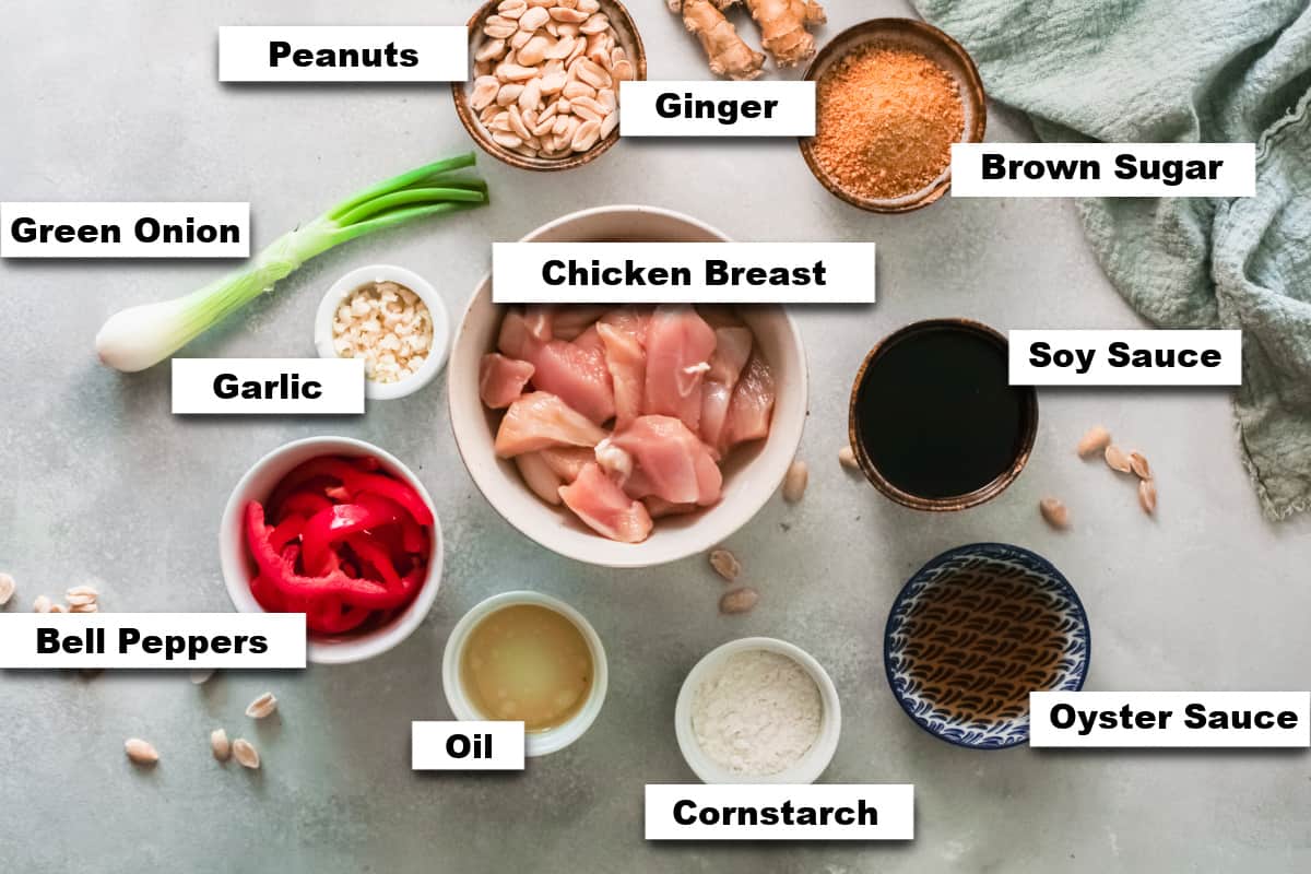 the ingredients needed for making kung pao chicken