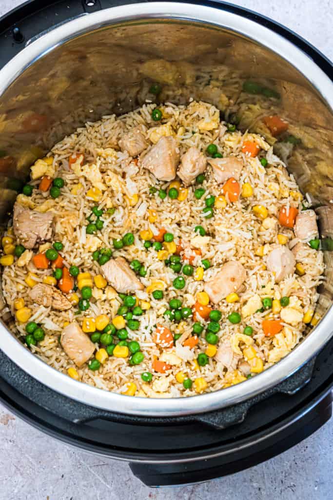 Instant Pot Chicken Fried Rice - Budget Delicious