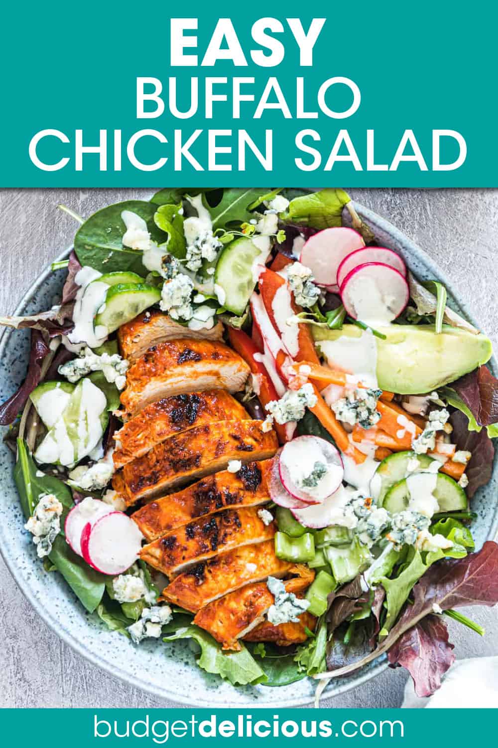 Buffalo Chicken Salad - Budget Delicious
