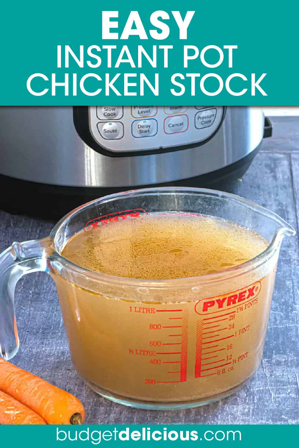 Instant Pot Chicken Stock - Budget Delicious