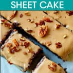 top down view of sheet cake topped with walnuts cut in slices