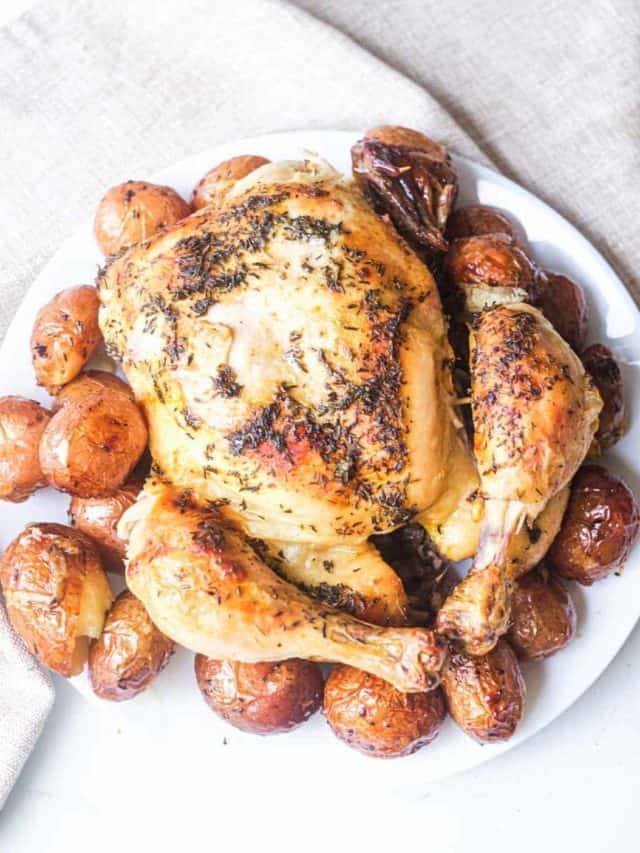 Delicious Dutch Oven Chicken Story