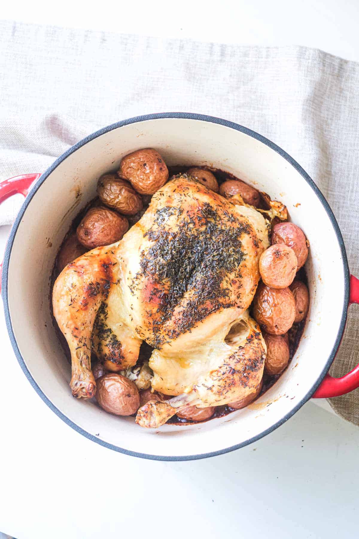 the cooked dutch oven whole chicken ready to be served