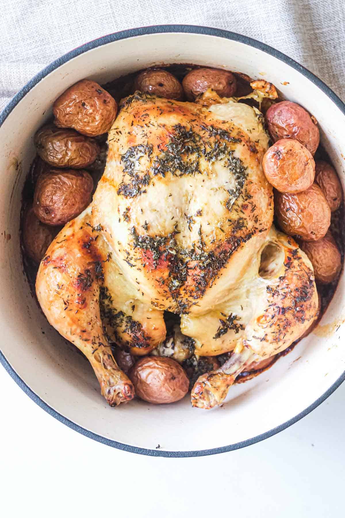 top down view of the dutch oven chicken inside the dutch oven