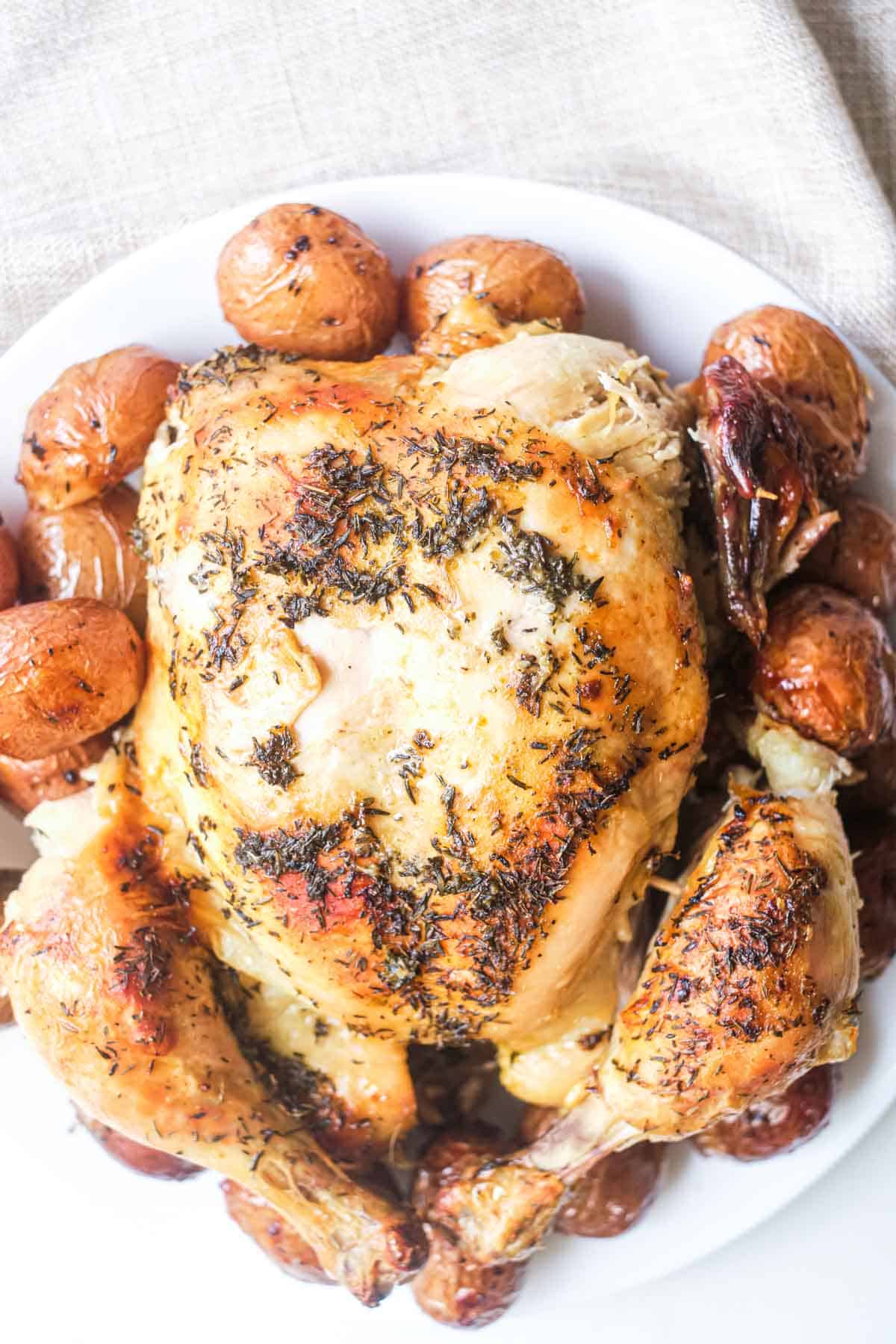 close up view of the finished dutch oven roast chicken and potatoes