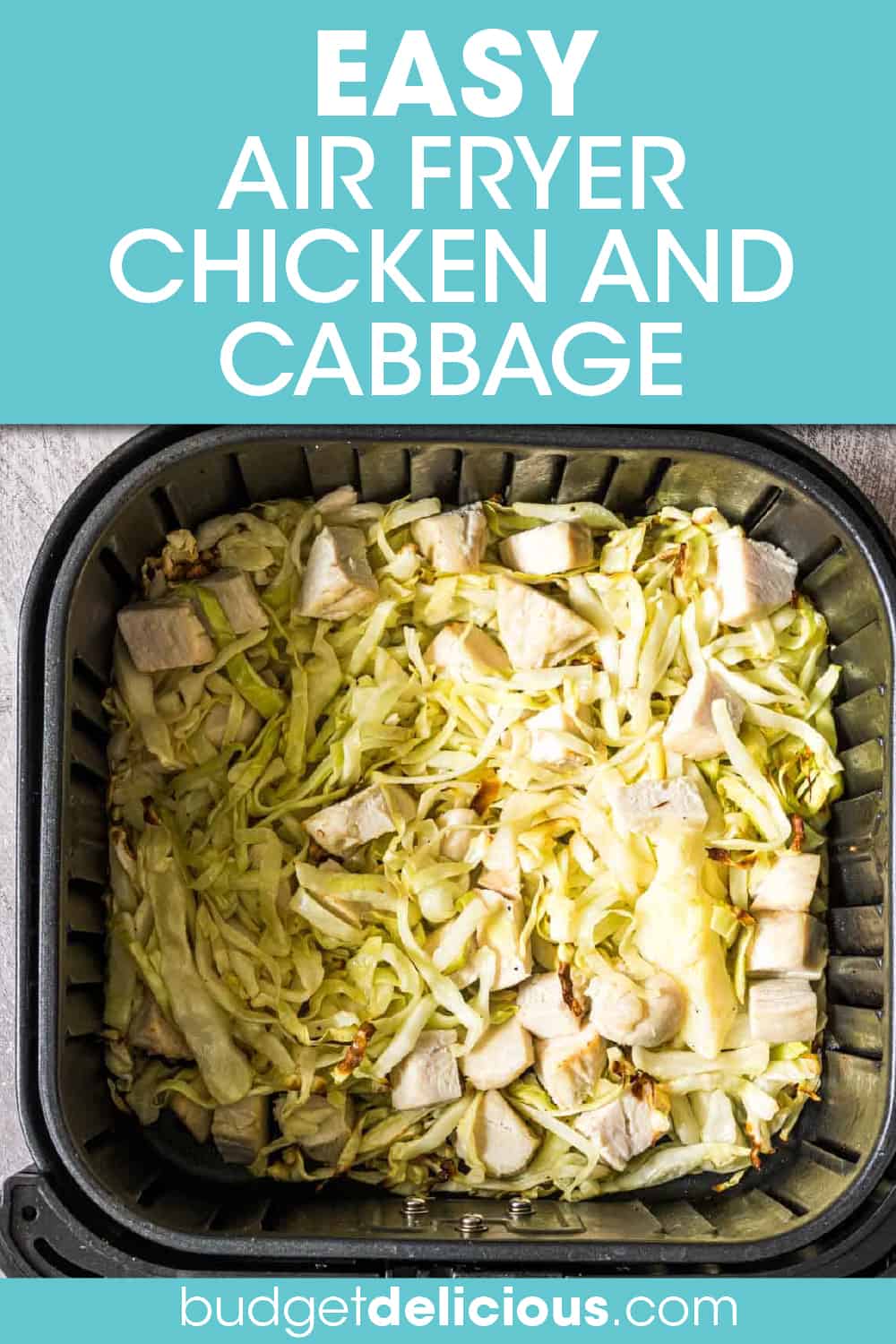 Air Fryer Chicken and Cabbage - Budget Delicious
