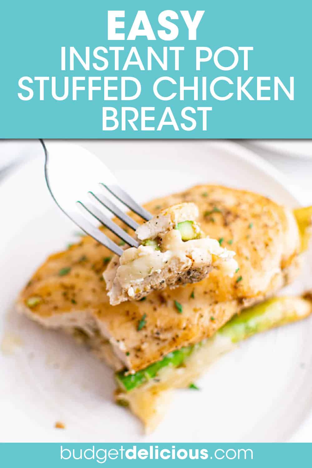 Instant Pot Stuffed Chicken Breast - Budget Delicious